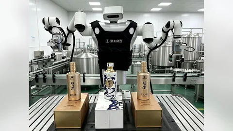 Humanoid Packaging Robot