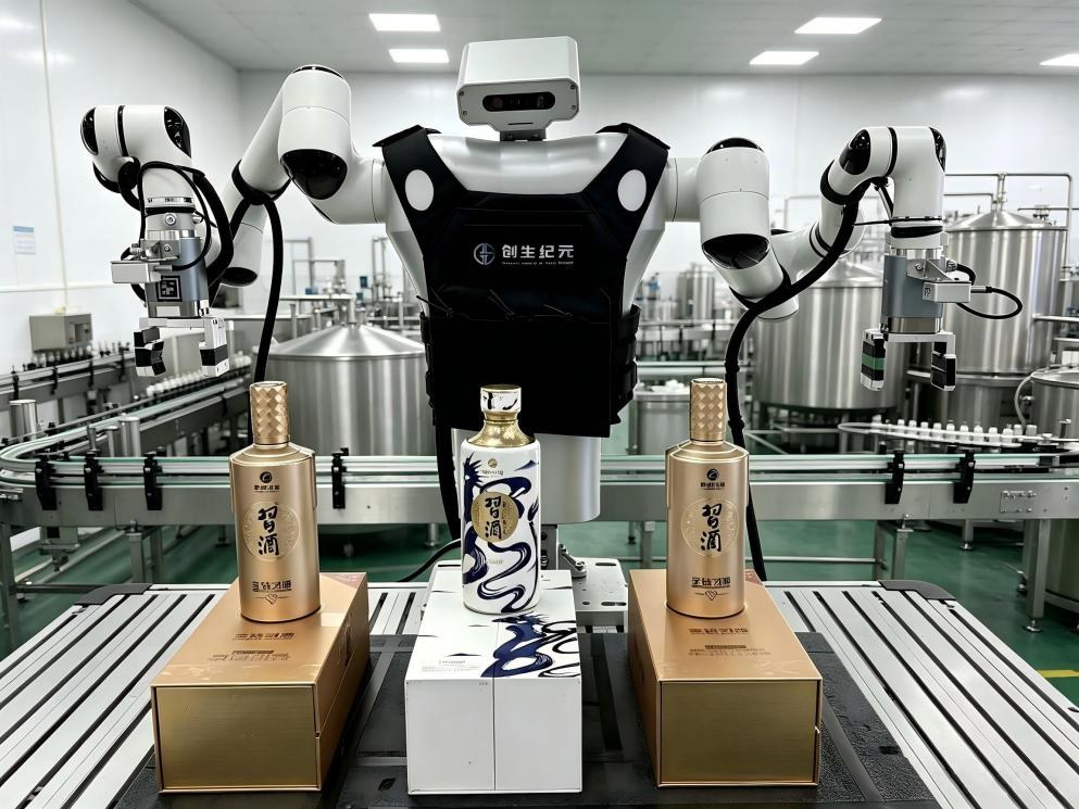 Humanoid Packaging Robot